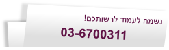 03-6700311